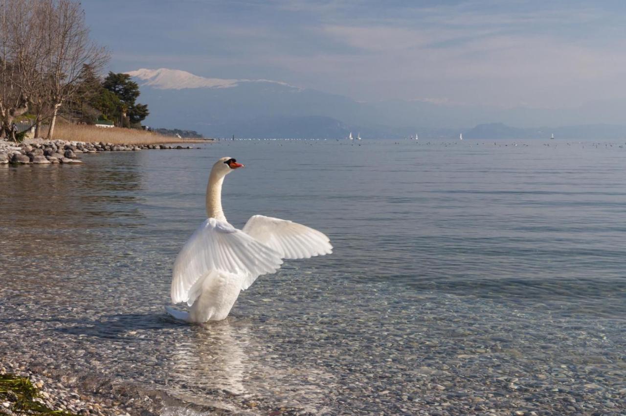 Alice'S Nest-Lake View House Padenghe sul Garda Exteriör bild